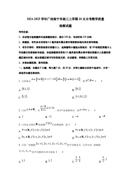 2024-2025学年广西南宁市高三上学期10月月考数学质量检测试题(含解析)
