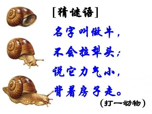 2.1 观察蜗牛(2)