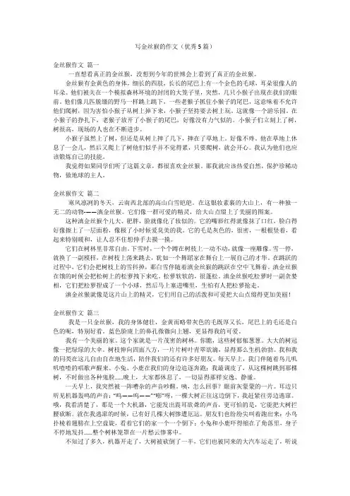 写金丝猴的作文(优秀5篇)