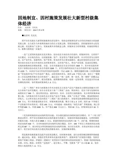 因地制宜、因村施策发展壮大新型村级集体经济