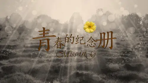 致青春毕业相册纪念册 (83)
