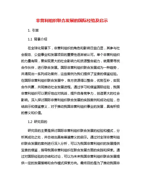 非营利组织联合发展的国际经验及启示