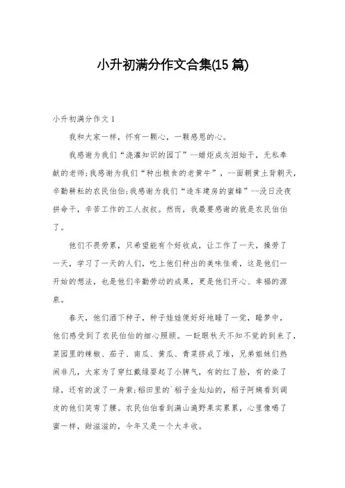 小升初满分作文合集(15篇)