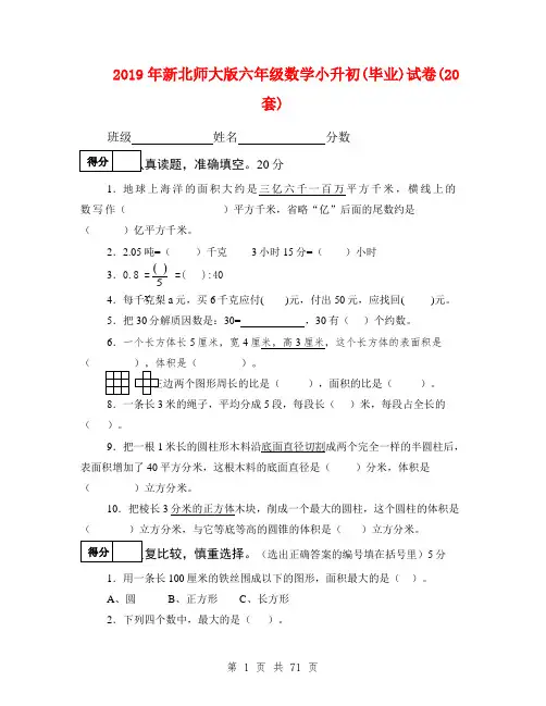 2019年新北师大版六年级数学小升初(毕业)试卷(20套)