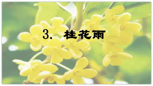 《桂花雨》ppt课件