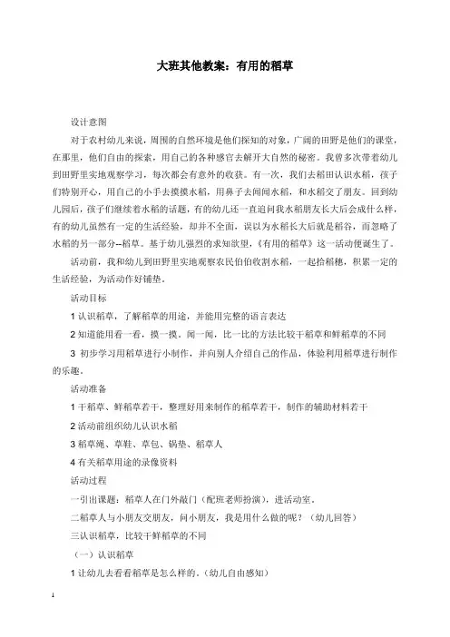 2019-2020年幼儿园学前教育大班其他教案有用的稻草.doc