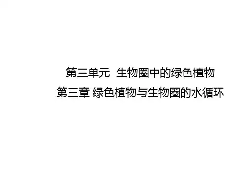 人教版七年级生物上册第三单元第三章 绿色植物与生物圈的水循环 复习课件(共17张PPT)