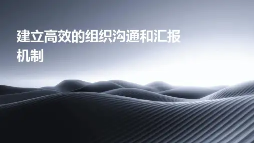 建立高效的组织沟通和汇报机制