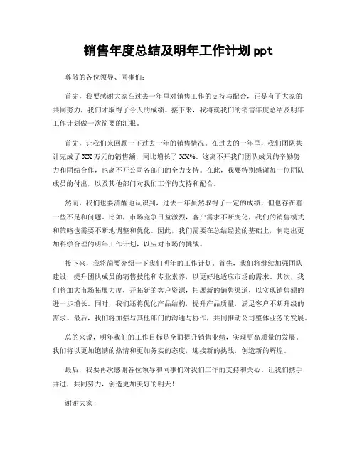 销售年度总结及明年工作计划ppt