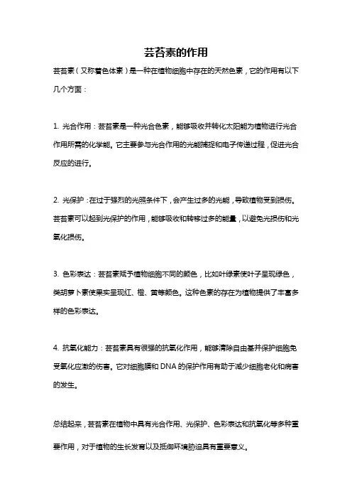 芸苔素的作用
