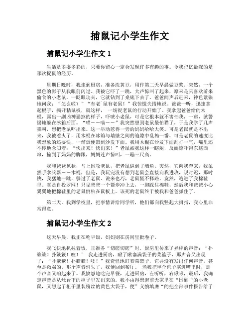 捕鼠记小学生作文