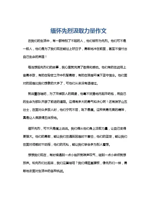 缅怀先烈汲取力量作文