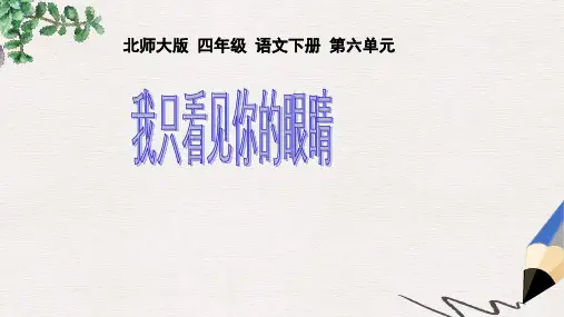 北师大版小学四年级语文下册6.2 我只看见你的眼睛精品ppt课件