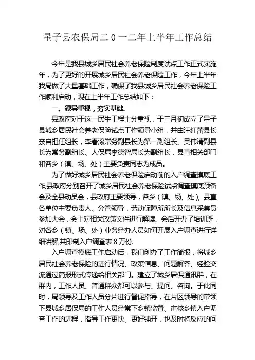 2012年城乡居民社会养老保险工作总结