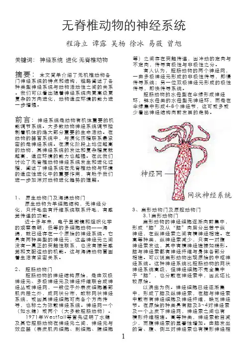 无脊椎动物的神经系统