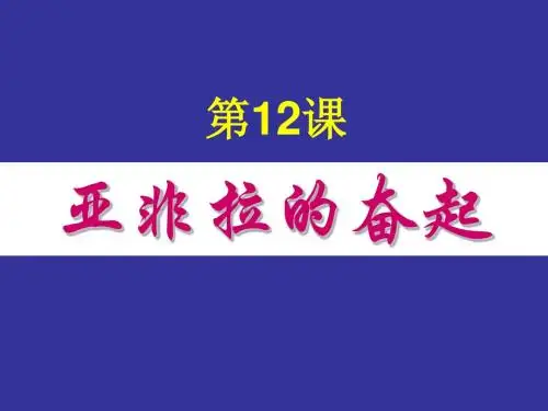 新人教版九年级初三历史下册12亚非拉的奋起课件