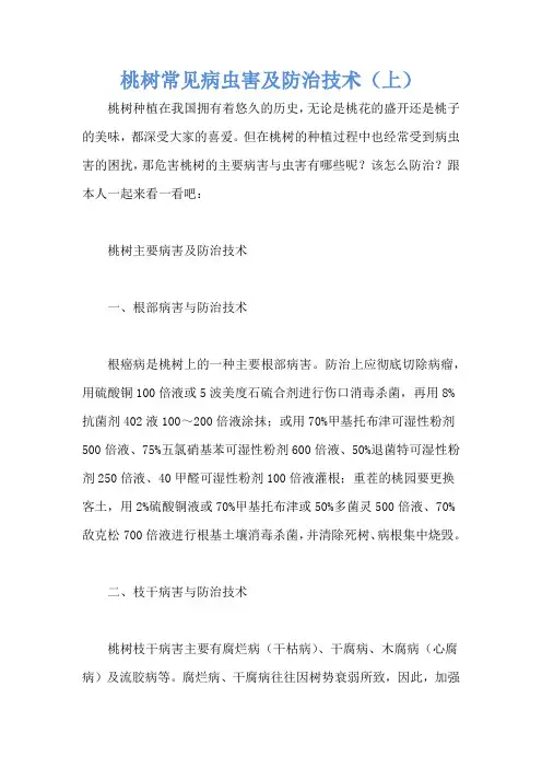 桃树常见病虫害及防治技术(上)