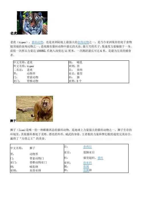 科目动物