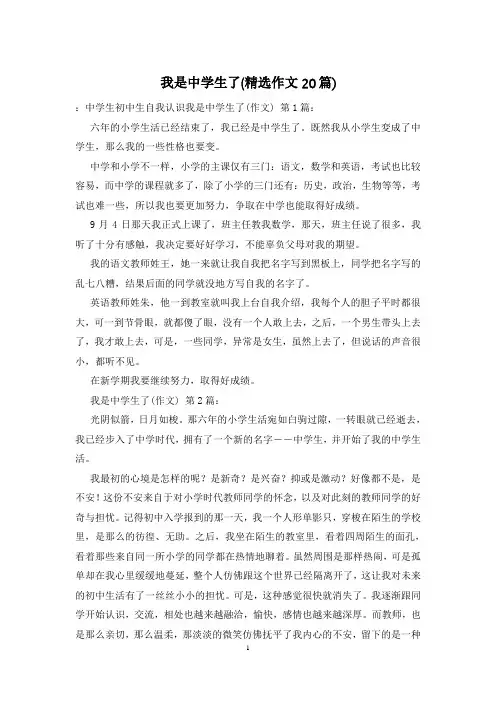 我是中学生了(精选作文20篇)