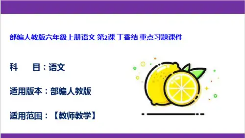 部编人教版六年级上册语文 第2课 丁香结 重点习题课件