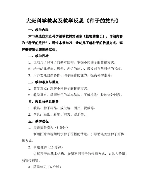 大班科学教案及教学反思《种子的旅行》