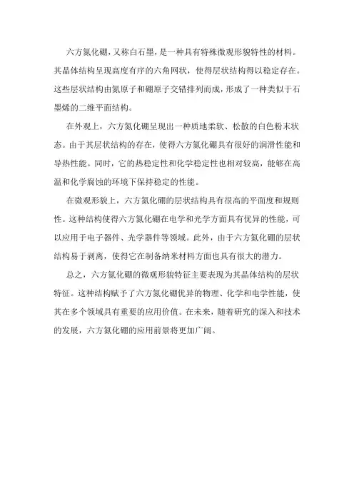 六方氮化硼的微观形貌特征