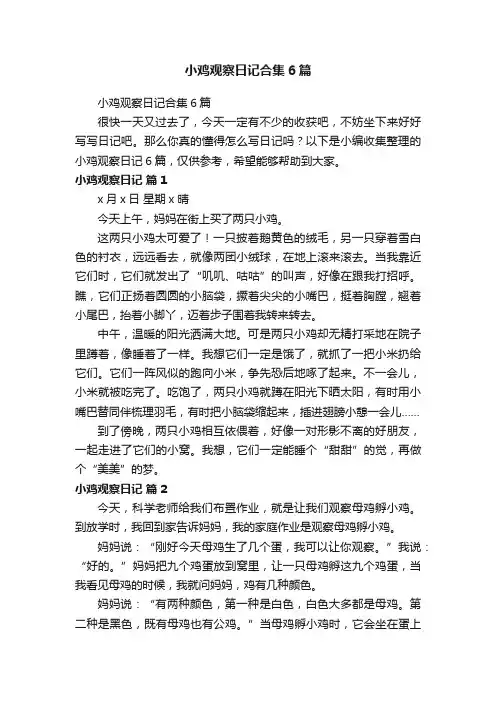 小鸡观察日记合集6篇