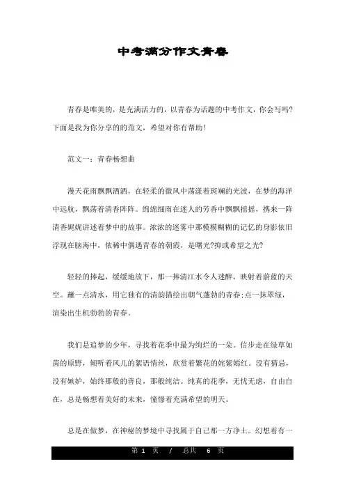 中考满分作文青春