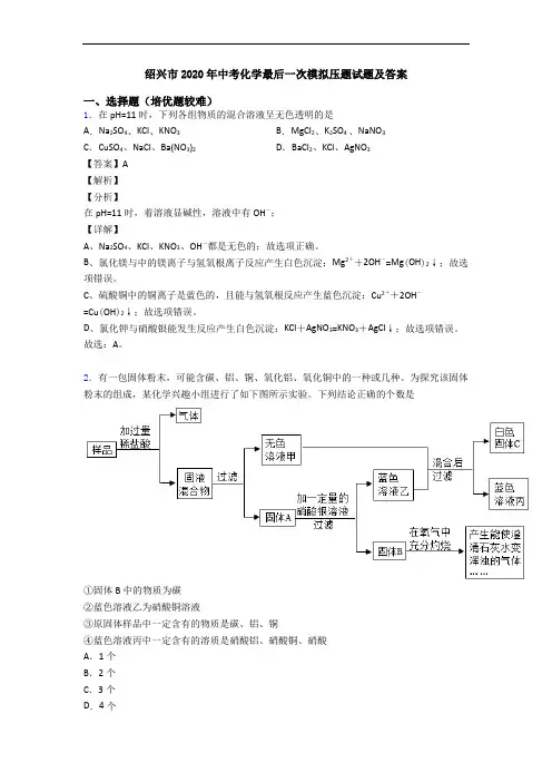 绍兴市2020年中考化学最后一次模拟压题试题及答案