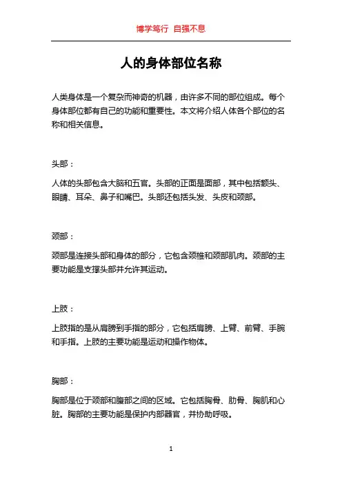 人的身体部位名称