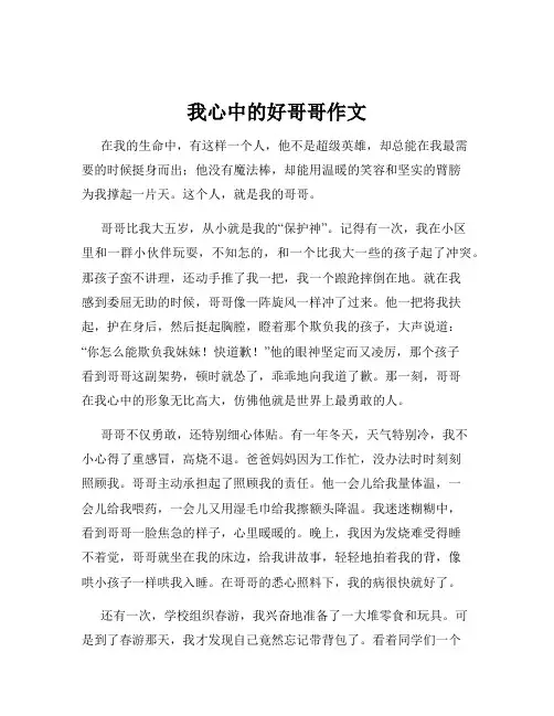 我心中的好哥哥作文