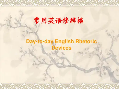 实用英语写作--修辞 ppt课件