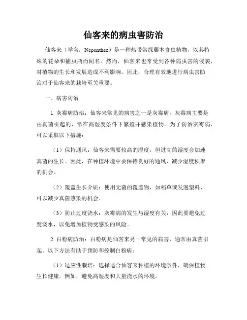 仙客来的病虫害防治