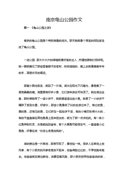 南京龟山公园作文