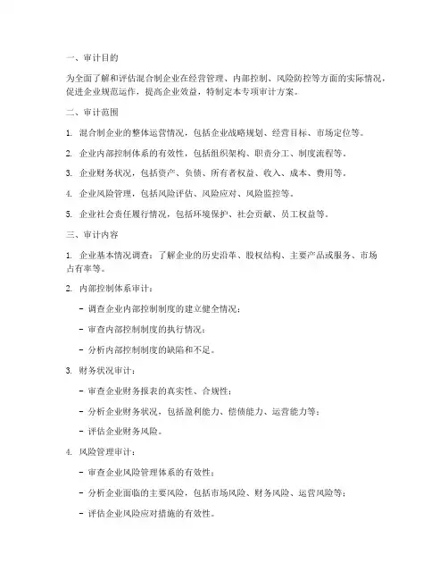 混合制企业专项审计方案