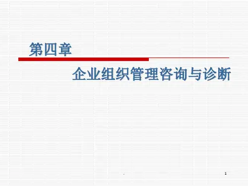 企业组织管理咨询与诊断ppt课件