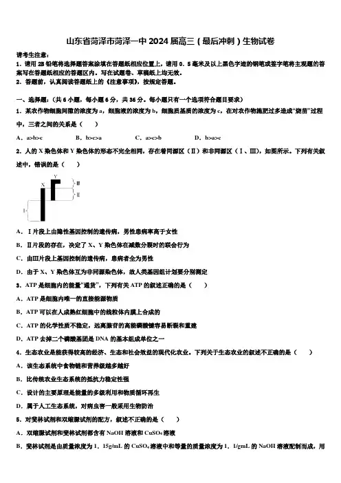 山东省菏泽市菏泽一中2024届高三(最后冲刺)生物试卷含解析