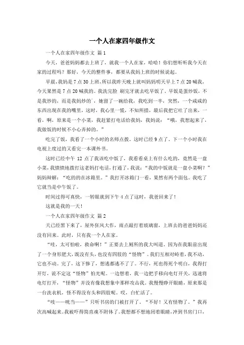 一个人在家四年级作文
