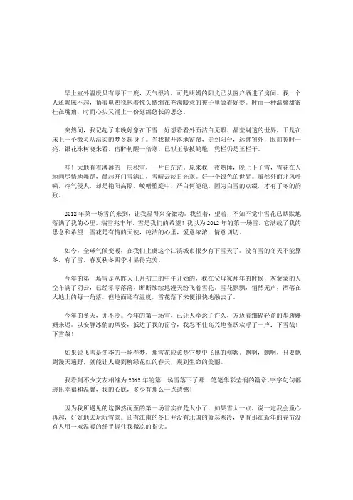 2012年的第一场雪