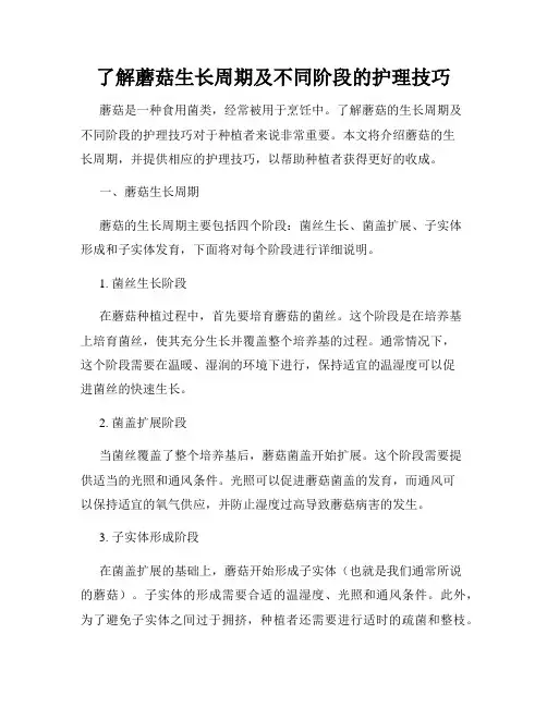 了解蘑菇生长周期及不同阶段的护理技巧