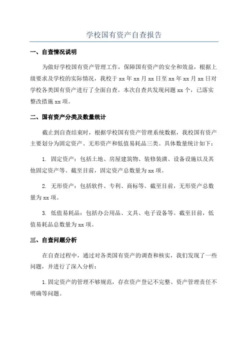 学校国有资产自查报告