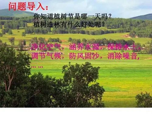 7.一个小村庄的故事(1)