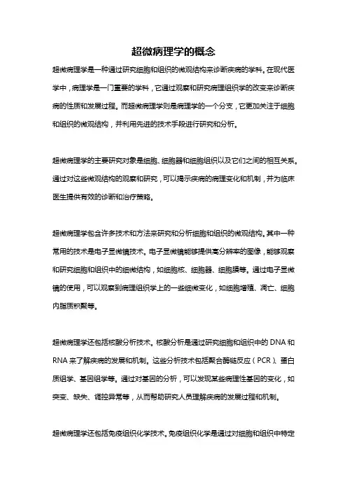 超微病理学的概念