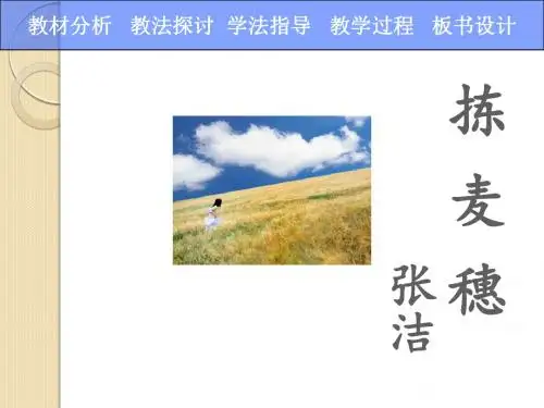 语文：3.11《拣麦穗》课件(1)(粤教版必修1)