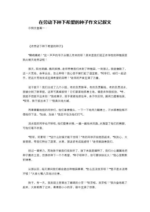 在劳动下种下希望的种子作文记叙文