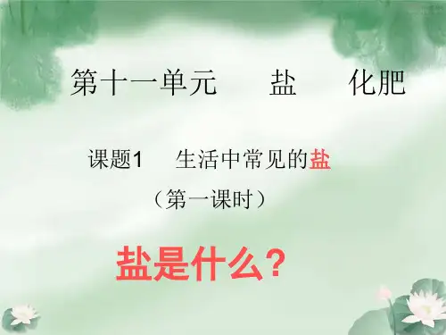 九年级化学第十一单元盐化肥_课题1生活中常见的盐课件