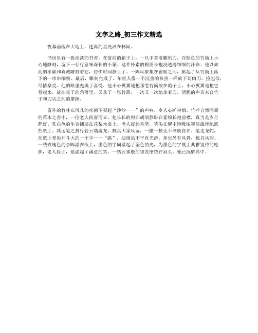 文字之路_初三作文精选