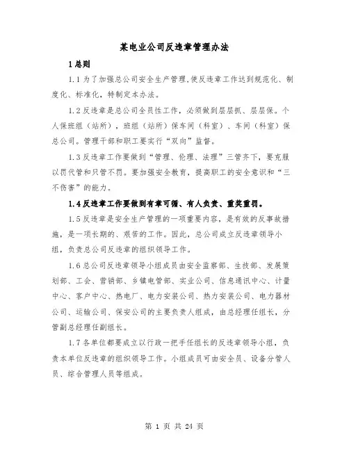 某电业公司反违章管理办法(三篇)