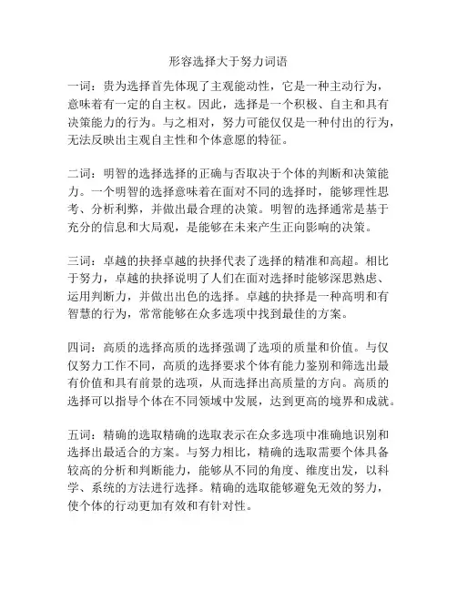 形容选择大于努力词语
