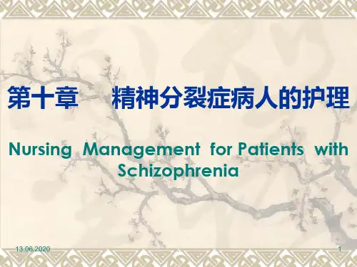 精神科护理学十精神分裂症PPT课件